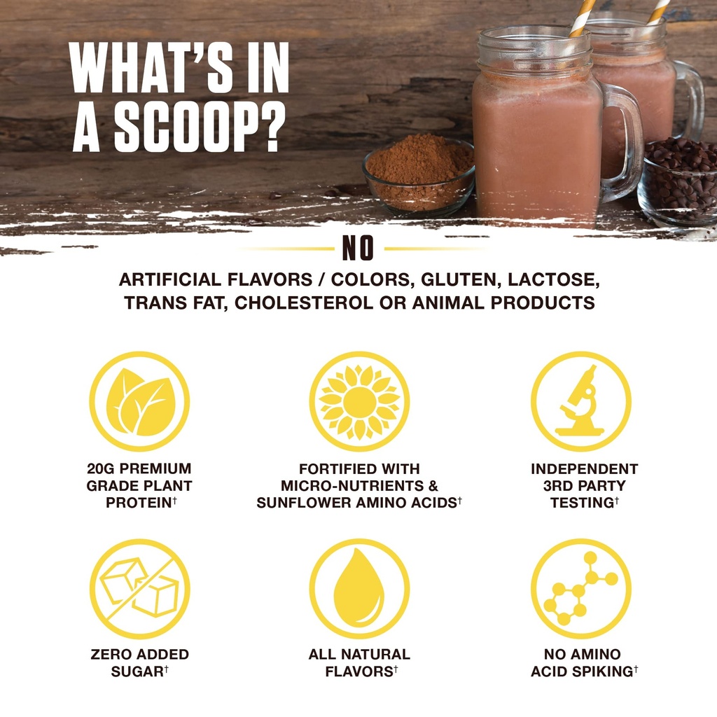 ambrosia-plant-based-protein-powder-20g--4.jpg
