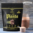 ambrosia-plant-based-protein-powder-20g--5.jpg