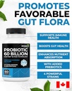renew-actives-probiotic-supplement-for-d-5.jpg