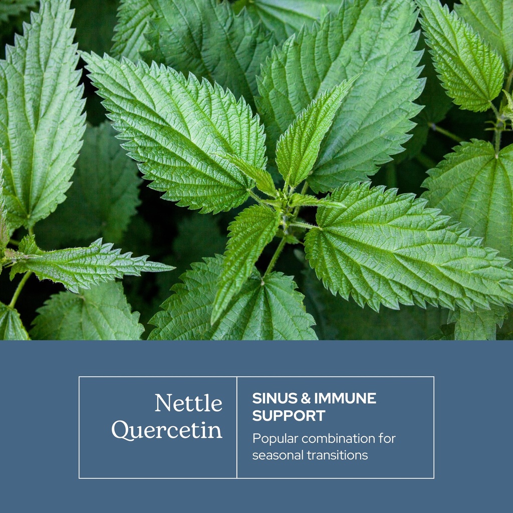 eclectic-herb-nettle-quercetin-capsules--3.jpg