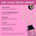 happy-healthy-hippie-vaginal-probiotics--4.jpg