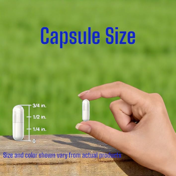 andrographic-paniculata-400-mg-120-capsu-6.jpg
