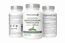 andrographic-paniculata-400-mg-120-capsu-2.jpg