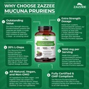 zazzee-extra-strength-mucuna-pruriens-8--6.jpg