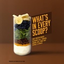 chocolate-protein-smoothie-powder-25g-wh-3.jpg