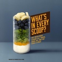 vanilla-protein-smoothie-powder-25g-whey-3.jpg