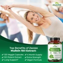 zazzee-extra-strength-mullein-leaf-10-1--2.jpg