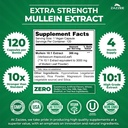 zazzee-extra-strength-mullein-leaf-10-1--3.jpg