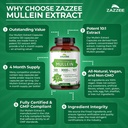 zazzee-extra-strength-mullein-leaf-10-1--6.jpg