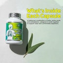 complete-lungs-formula-super-lungs-herba-5.jpg