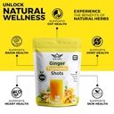 ginger-turmeric-daily-green-shots-100-se-4.jpg