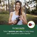 swanson-probiotic-prebiotic-gummies-dige-2.jpg