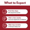 biofilm-disruptor-uti-defense-gut-cleans-4.jpg