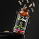 procera-xtf-perfect-study-aid-immediate--6.jpg