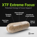 procera-xtf-perfect-study-aid-immediate--4.jpg