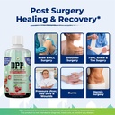 nutritional-designs-dpp-dipeptide-wound--4.jpg