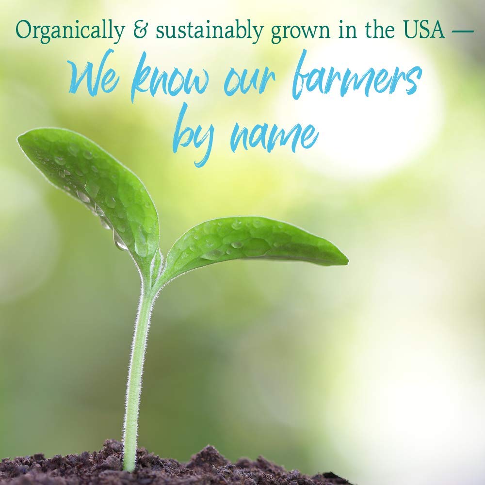garden-of-life-raw-organic-perfect-food--6.jpg