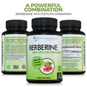doctor-recommended-supplements-berberine-6.jpg