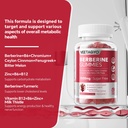 berberine-supplement-1500mg-sugar-free-b-6.jpg