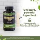 gade-nutrition-berberine-supplement-berb-3.jpg