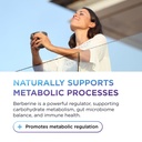 dr-emil-berberine-500mg-supplement-berbe-4.jpg