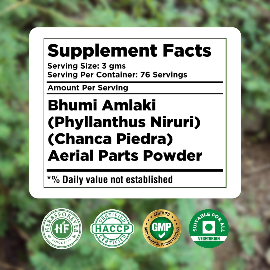 herbsforever-bhumi-amalaki-powder-phylla-5.jpg