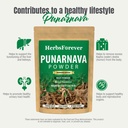 herbsforever-punarnava-boerhaavia-diffus-6.jpg