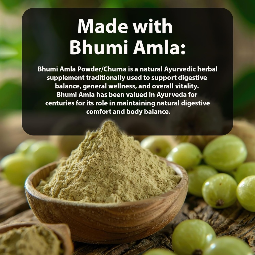 bhumi-amla-powder-churn-organic-and-pure-4.jpg