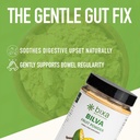 bixa-botanical-bilva-fruit-powder-gentle-5.jpg