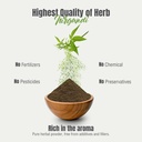 herbsforever-nirgundi-powder-vitex-negun-6.jpg