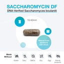 xymogen-saccharomycin-10b-gut-flora-dige-3.jpg