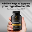saccharomyces-boulardii-probiotic-supple-6.jpg