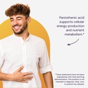 healthy-origins-premium-vitamin-b5-panto-6.jpg