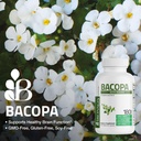 bronson-bacopa-supports-healthy-brain-fu-4.jpg