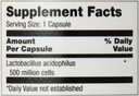 optimum-acidophilus-lactobacilli-capsule-4.jpg