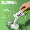 creatine-monohydrate-powder-travel-packs-2.jpg