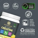 creatine-monohydrate-powder-micronized-p-3.jpg