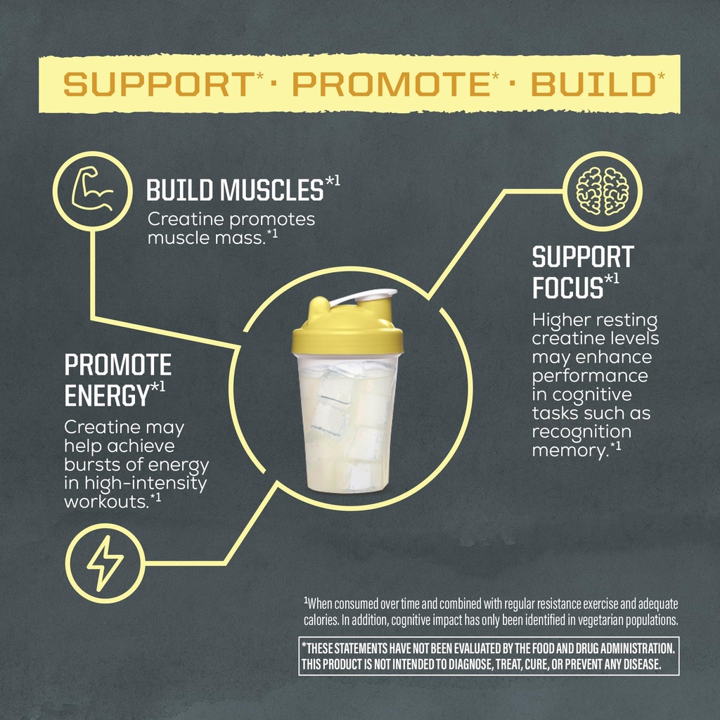 creatine-monohydrate-powder-micronized-p-4.jpg
