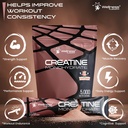 wellness-labsrx-creatine-monohydrate-pow-4.jpg