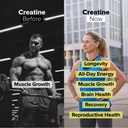 complement-creatine-monohydrate-microniz-3.jpg