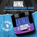 animal-creatine-chews-5g-creatine-monohy-2.jpg