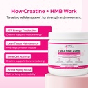 creatine-hmb-powder-5g-creatine-monohydr-4.jpg