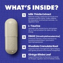 gains-in-bulk-elevated-nootropic-herbal--4.jpg