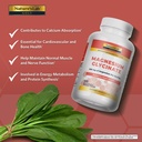 nature-s-lab-gold-magnesium-glycinate-40-2.jpg