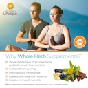 lifespa-whole-herbs-liver-repair-liver-d-5.jpg