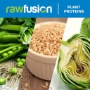 rawfusion-4lbs-raw-plant-based-protein-p-6.jpg
