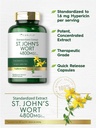 carlyle-st-john-s-wort-capsules-300-coun-3.jpg