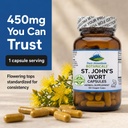 pure-mountain-botanicals-st-john-s-wort--3.jpg