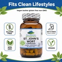 pure-mountain-botanicals-st-john-s-wort--6.jpg