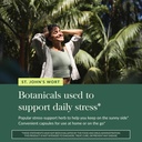 gaia-herbs-st-john-s-wort-stress-support-5.jpg